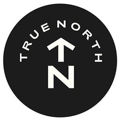 True North logo