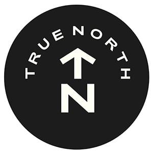 True North logo