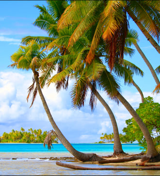Beach in Rangiroa atoll, French Polynesia