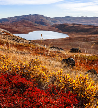 Autumn landscape in Kangerlussuaq, Greenland