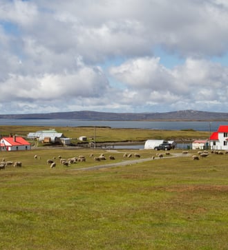 Countryside in the Falkland Islands