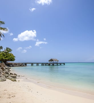 Beach in Tobago