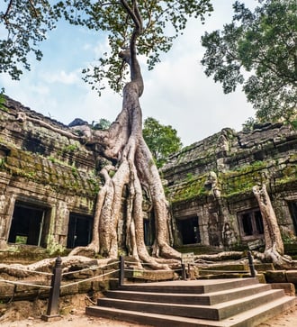 Ta Prohm temple, Angkor