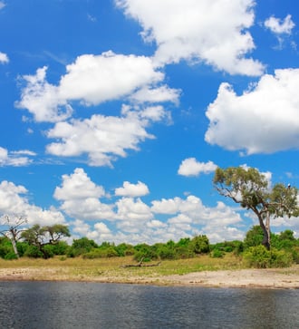Elephants in Chobe National Park, Botswana