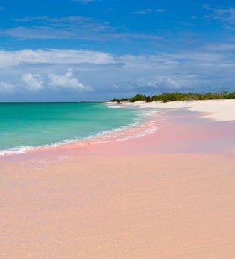 Pink sand beach on Barbuda