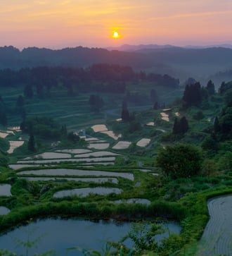 Ricer terraces in Niigata, Japan