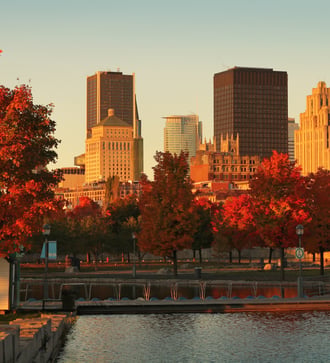Montréal fall colours
