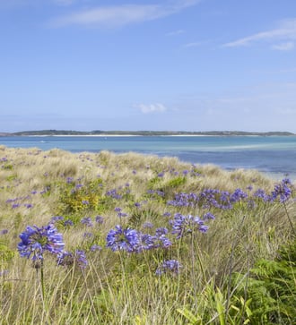 Pentle Bay on Tresco, Isles of Scilly