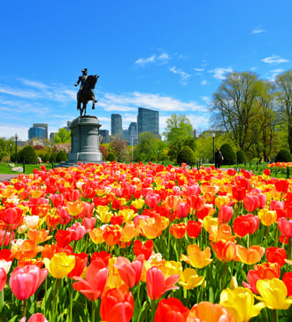 Boston Public Garden