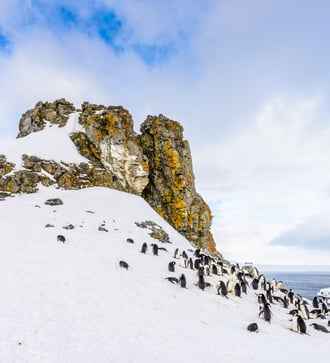 Half Moon Island, South Shetland Islands, Antarctica