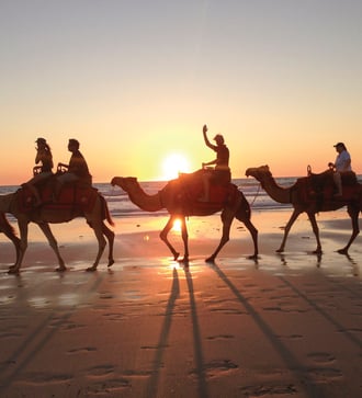 Camel train on Cable Beach, Broome
