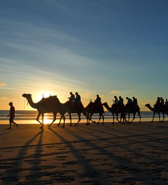 Camel riding on the beach at Broome, Australia