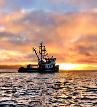 Shrimp trawler off Petersburg, Alaska