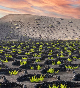 La Geria, Lanzarote