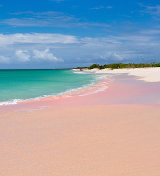 Pink Sand Beach, Barbuda