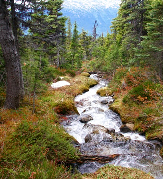 Dewey Lakes Trail, Skagway