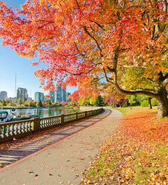 Fall colours in Stanley Park, Vancouver