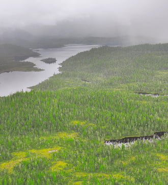 Forests near Prince Rupert, Canada