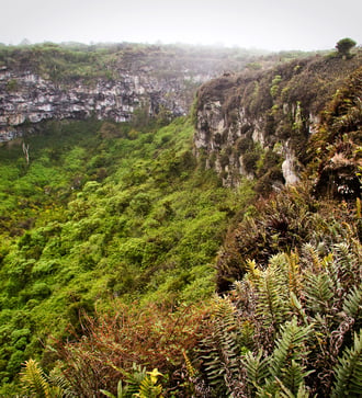 Los Gemelos on Santa Cruz, Galapagos