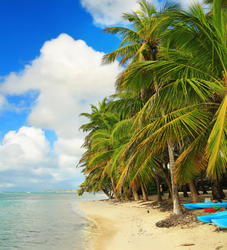 Beach in Guadeloupe