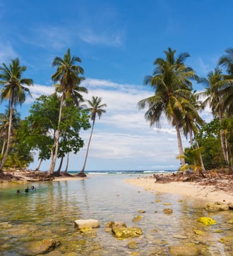 Beach on Cenderawasih Bay, Indonesia