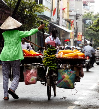 Street vendor in Hanoi, Vietnam