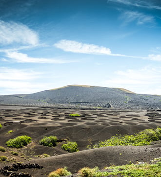 La Geria vineyards on Lanzarote