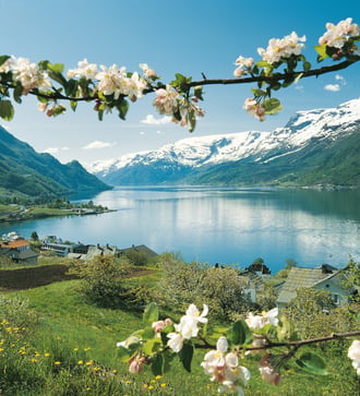 Hardangerfjord, Norway