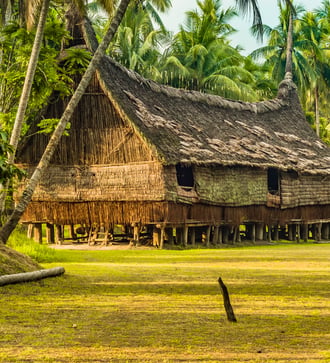 Traditional house in Palembe, Sepik river, Papua New Guinea