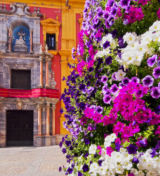 Flowers in Málaga, Spain