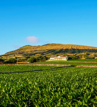 Graciosa island, Azores