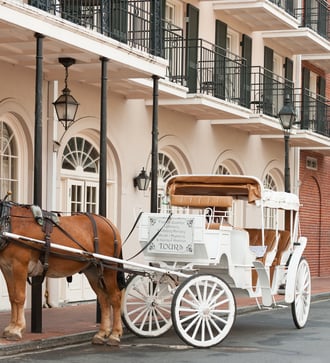 Horse drawn carriage in the French Quarter, New Orleans