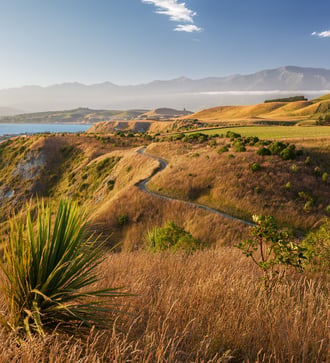 Kaikoura Peninsula, New Zealand
