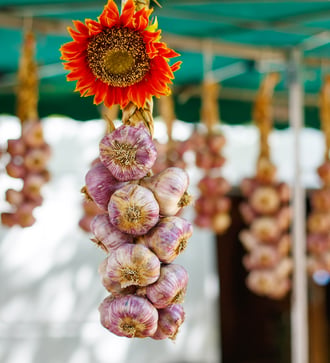 Garlic hanging up in Arles, France