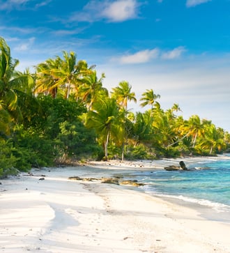 Beach in the Fakarava atoll, French Polynesia