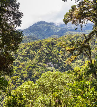 Darien Jungle, Panama