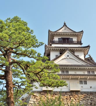 Kochi Castle, Japan