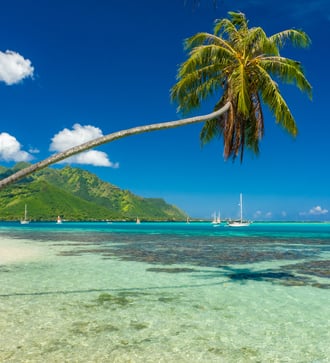 Beach in Moorea, French Polynesia