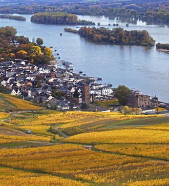 Rudesheim, Rhine Valley