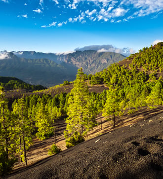 Cumbre Nueva, La Palma