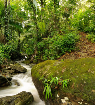 Waterfall in the Darien Jungle, Panama