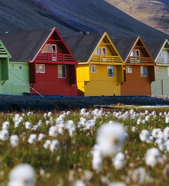 Flowers and colourful houses in Longyearbyen