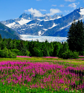 Mendenhall Glacier, near Juneau, Alaska