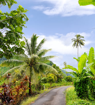 Tahiti island interior