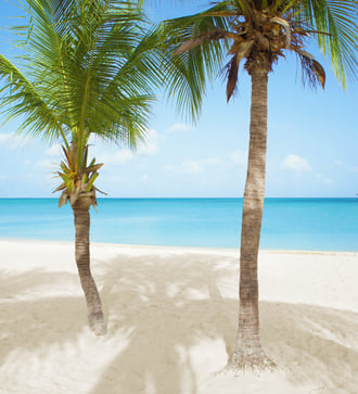 Eagle Beach, Aruba