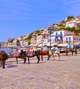 Donkeys in Hydra, Greece