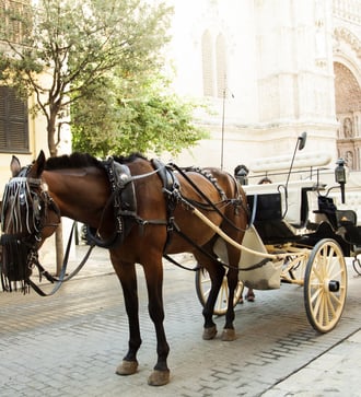 Horse-drawn cart in Palma de Mallorca