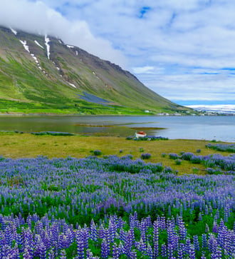 Landscape around Isafjordur, Iceland