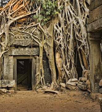 Overgrown Ta Prohm temple in Cambodia