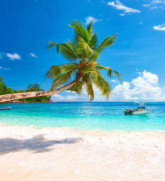 Beach on Mahé, Seychelles